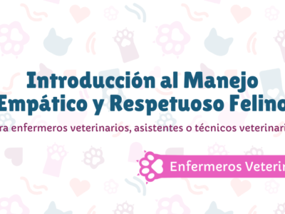 Introducción al Manejo Empático y Respetuoso Felino para enfermeros veterinarios, asistentes o técnicos veterinarios