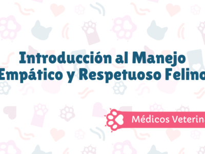 Introducción al Manejo Empático y Respetuoso Felino para Médicos Veterinarios